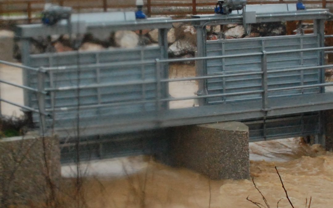 Piena del 31/01/2014